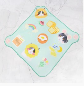 ผ้าวิเศษคืออะไร?